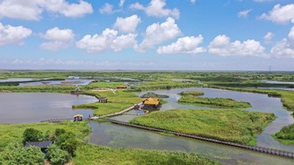 新成员！浙江新增两处国家重要湿地