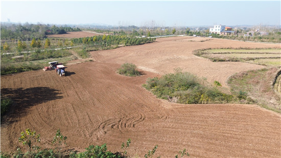 守牢耕地“红线” 信阳市光山县复耕撂荒地播种增收田_fororder_整理后的撂荒地种上了小麦。张超摄.JPG