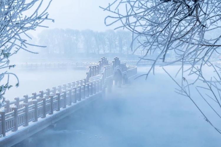 赏凇踏雪 桦甸雾凇美不胜收