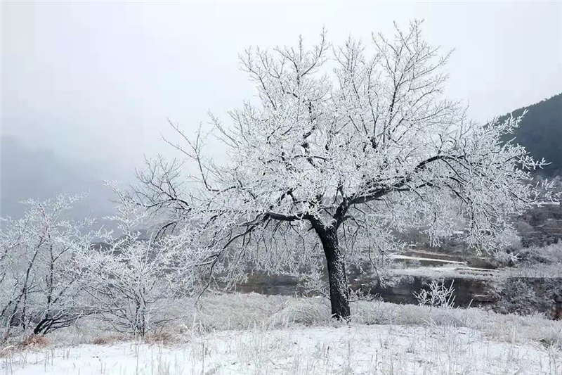 安阳林州：初雪落太行_fororder_图片6