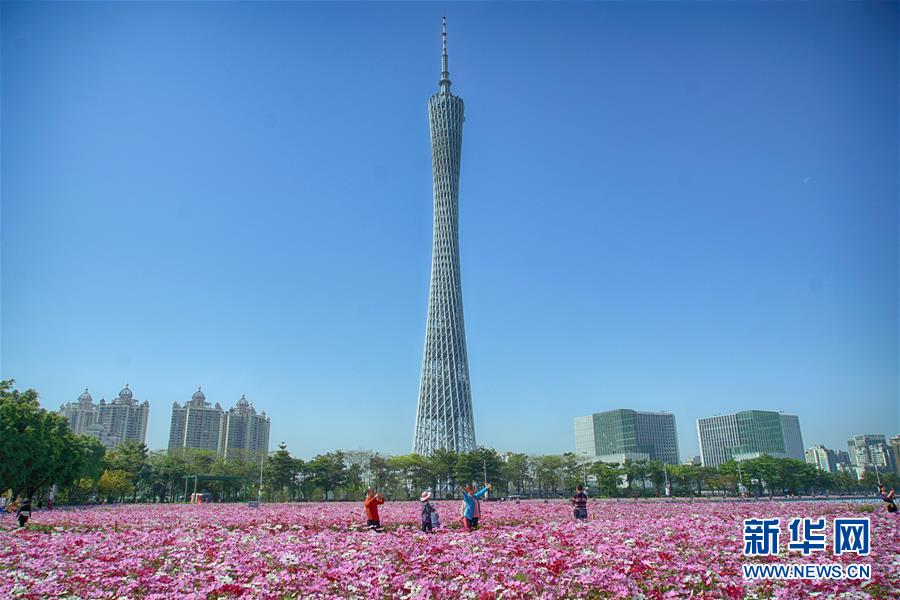 花城打造美丽生态名片