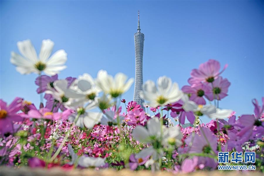 花城打造美丽生态名片