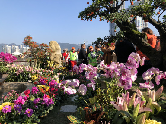 【CRI专稿 列表】第二届长江上游城市花卉艺术博览会即将在渝启幕【内容页标题】助力城市品质提升 第二届长江上游城市花卉艺术博览会即将在渝启幕