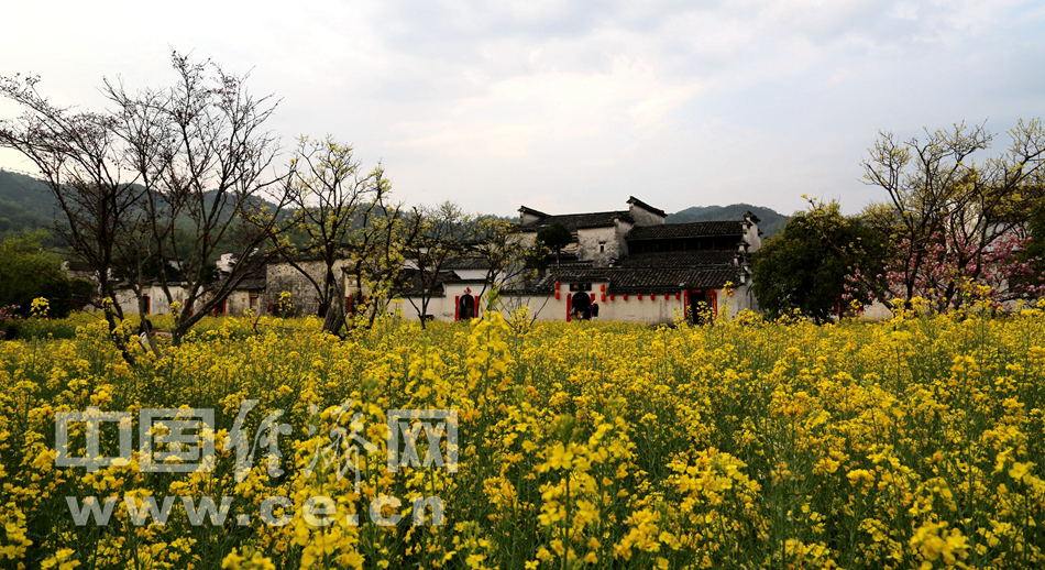 春游西递古镇 赏徽派古建风采