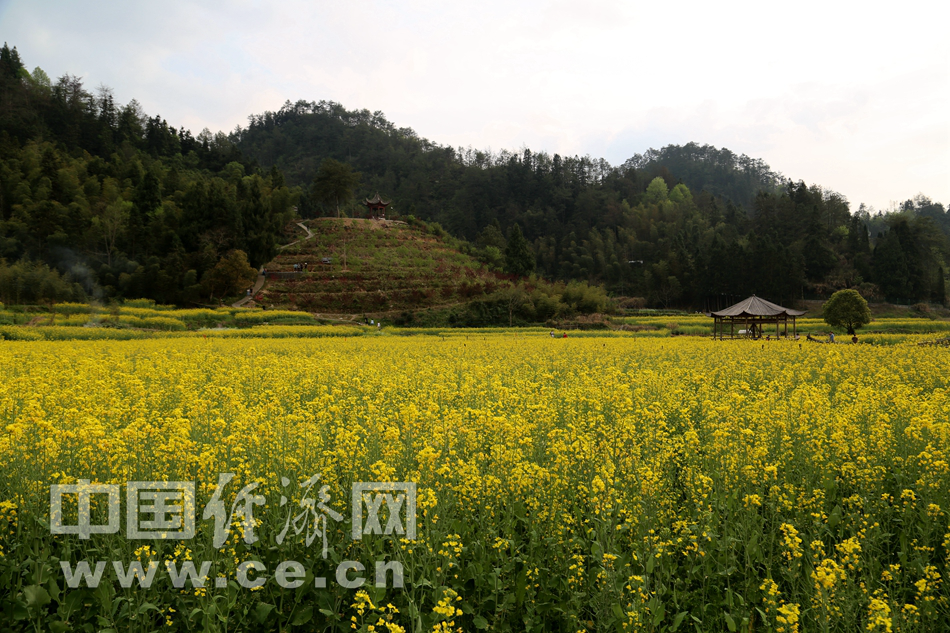 春游西递古镇 赏徽派古建风采