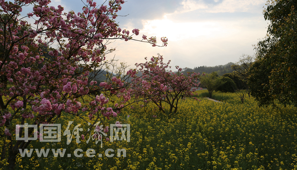 春游西递古镇 赏徽派古建风采