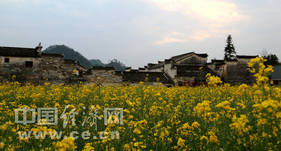 春游西递古镇 赏徽派古建风采