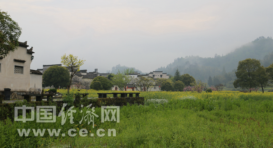 春游西递古镇 赏徽派古建风采