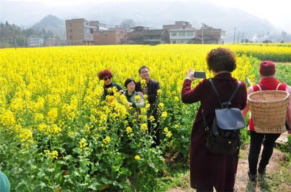 重庆奉节:甲高镇万亩油菜花盛放 金色花田引来游人