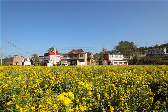 信阳市商城县：匠心打造宜居宜业和美乡村_fororder_乡村美产业旺 罗玉兰摄 - 复件(1)