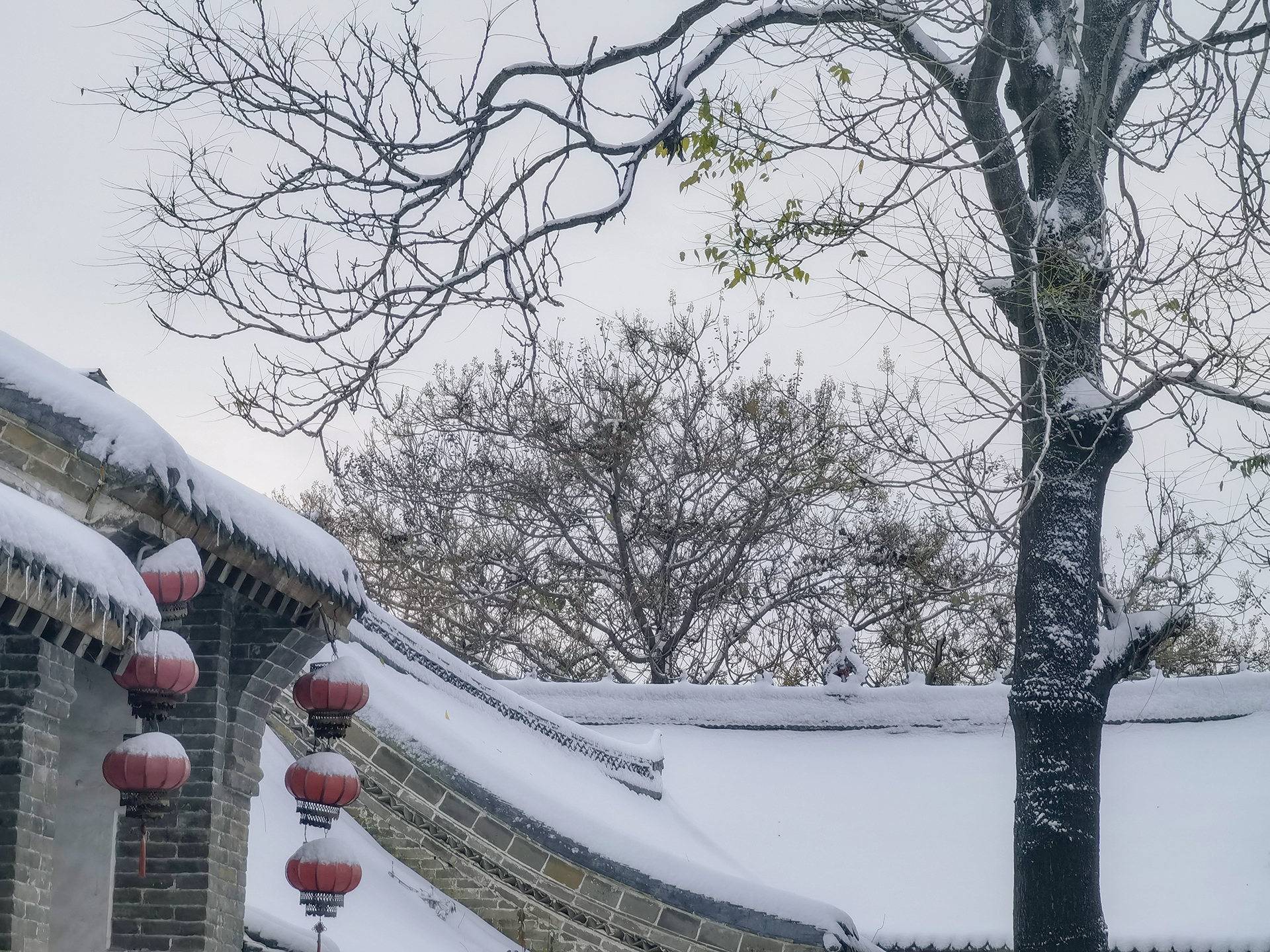 飞雪落成诗 一秒入仙境！雪后河南 美出“天际”