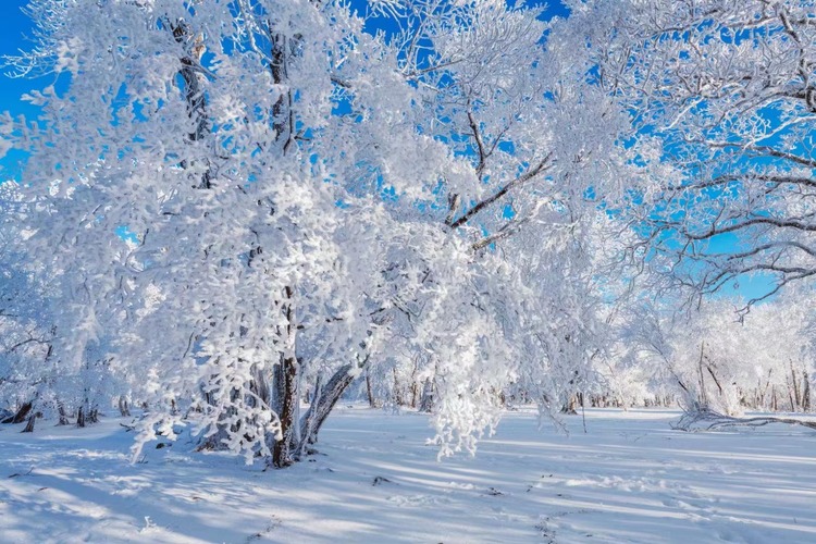 在四方顶邂逅“冰雪奇缘”