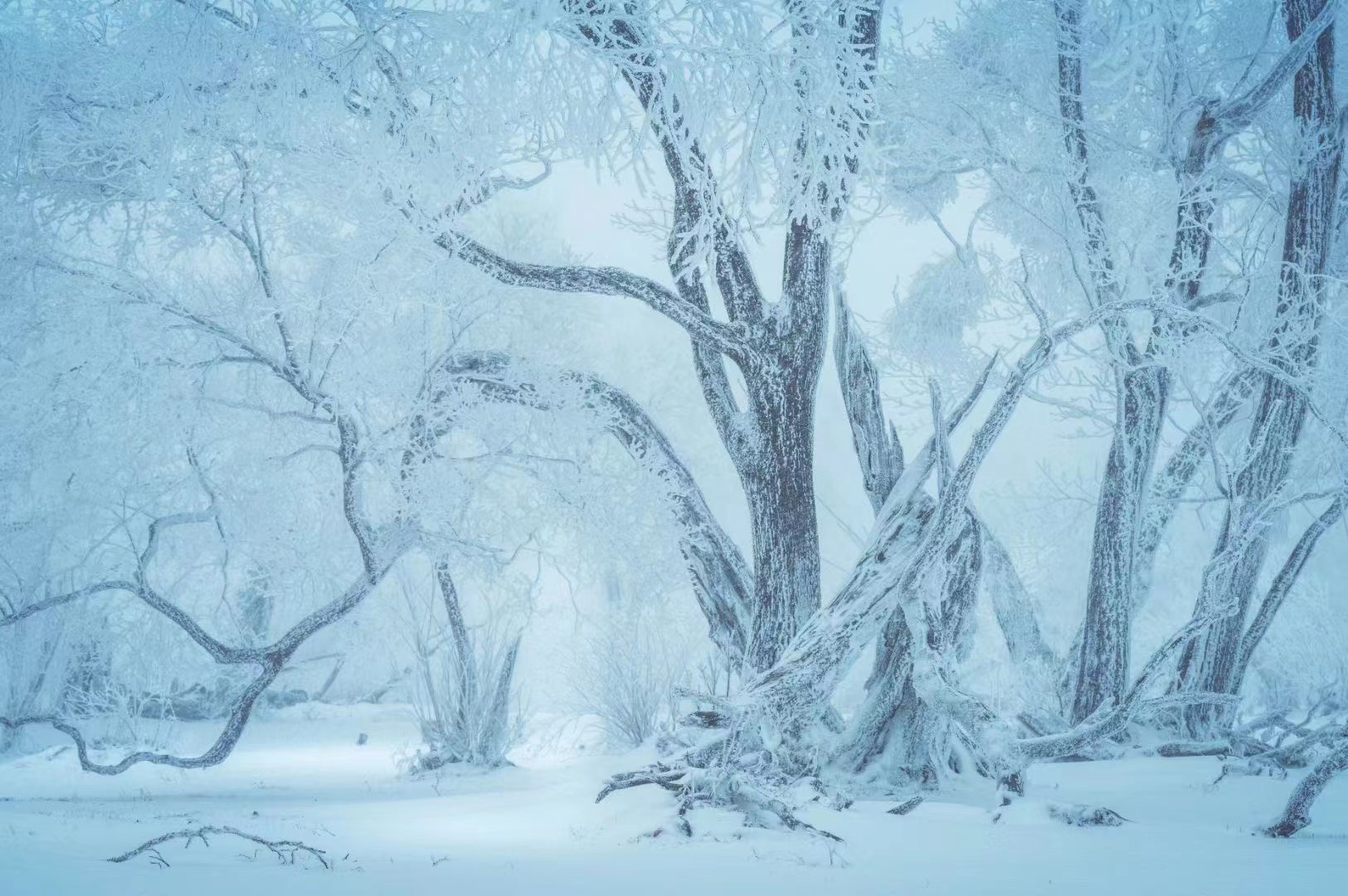 在四方顶邂逅“冰雪奇缘”