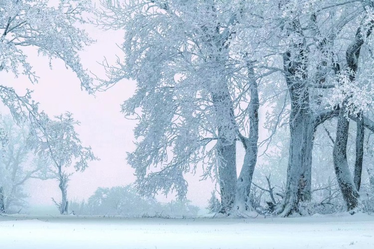 在四方顶邂逅“冰雪奇缘”