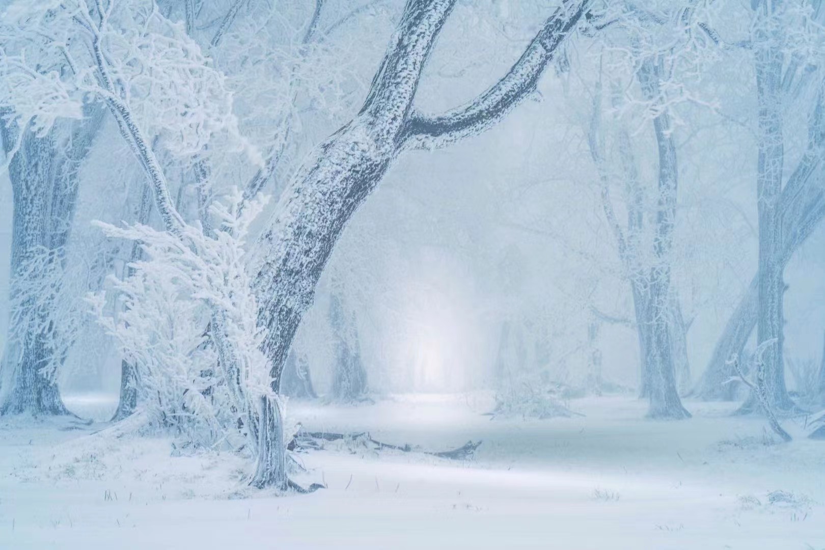 在四方顶邂逅“冰雪奇缘”