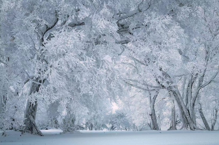 在四方顶邂逅“冰雪奇缘”