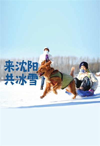 来沈阳 共冰雪