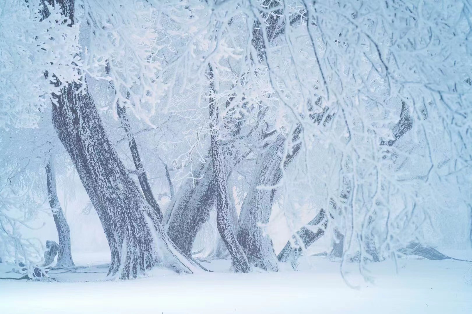 在四方顶邂逅“冰雪奇缘”