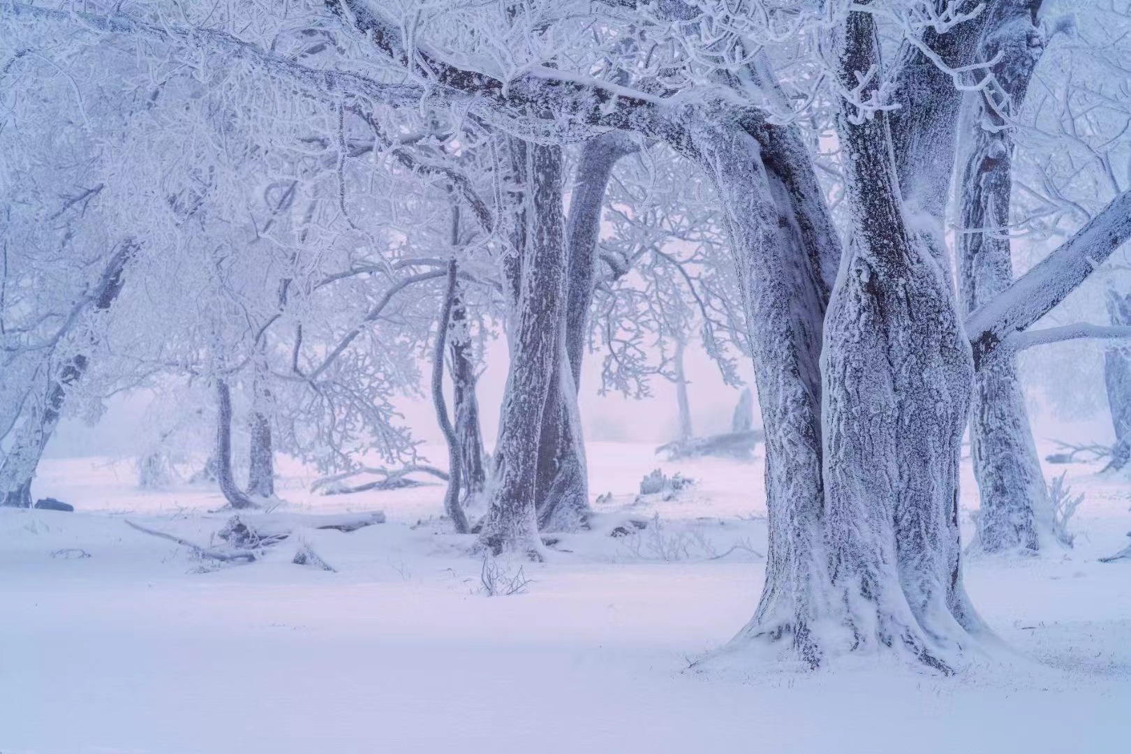 在四方顶邂逅“冰雪奇缘”