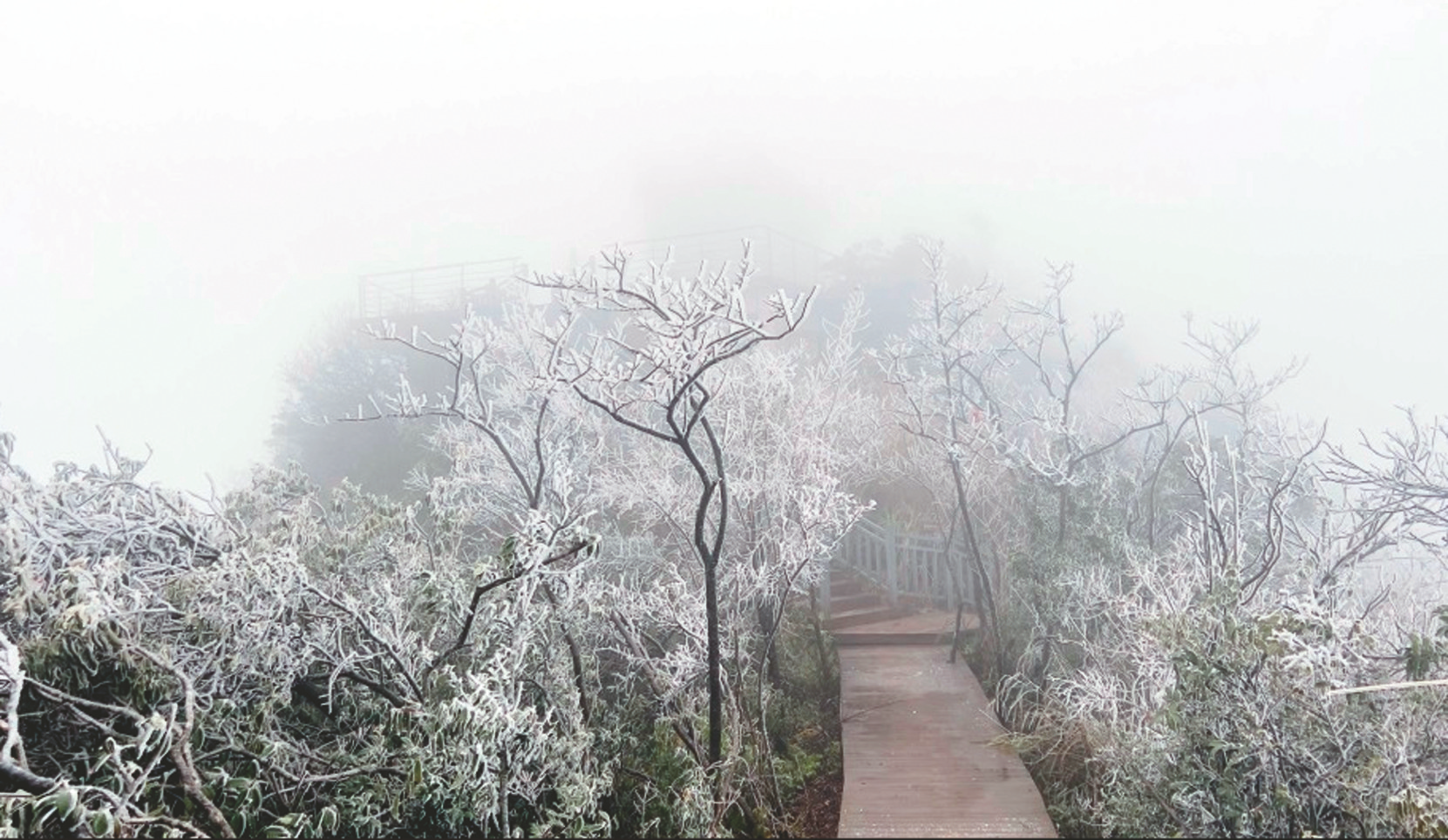 天气这么冷，南宁市区会下雪吗？