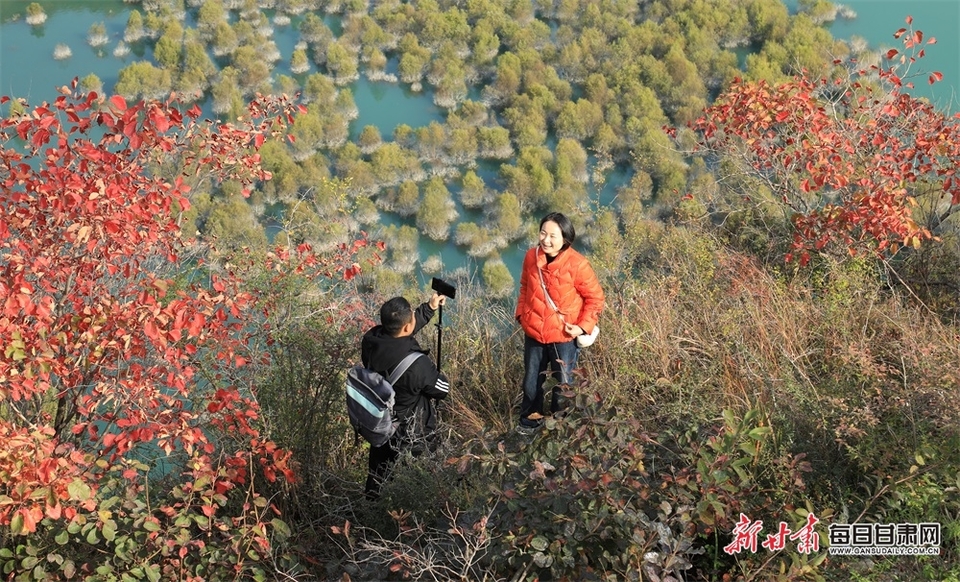 群峰映碧水 红叶炫姿彩 文县碧口初冬风光旖旎_fororder_1