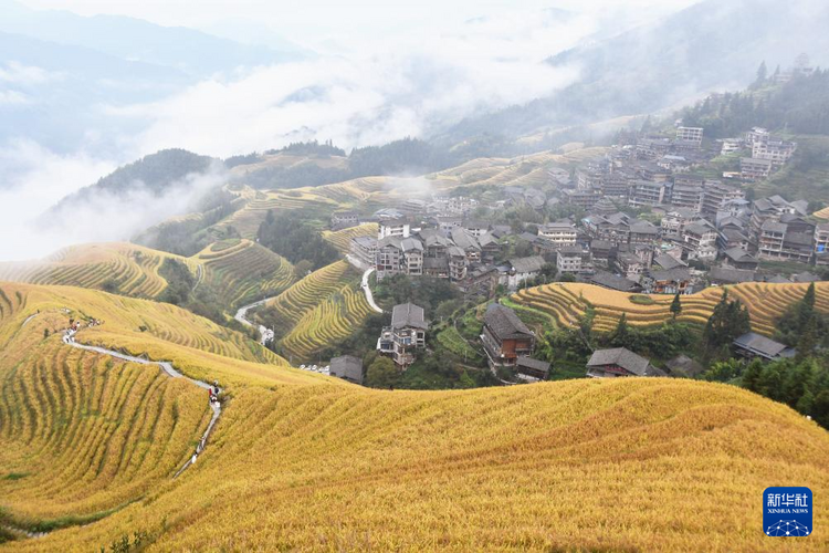 加快建设世界旅游目的地——广西全力推动文旅产业高质量发展