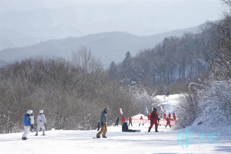 2023-2024年哈尔滨冰雪季盛大启幕