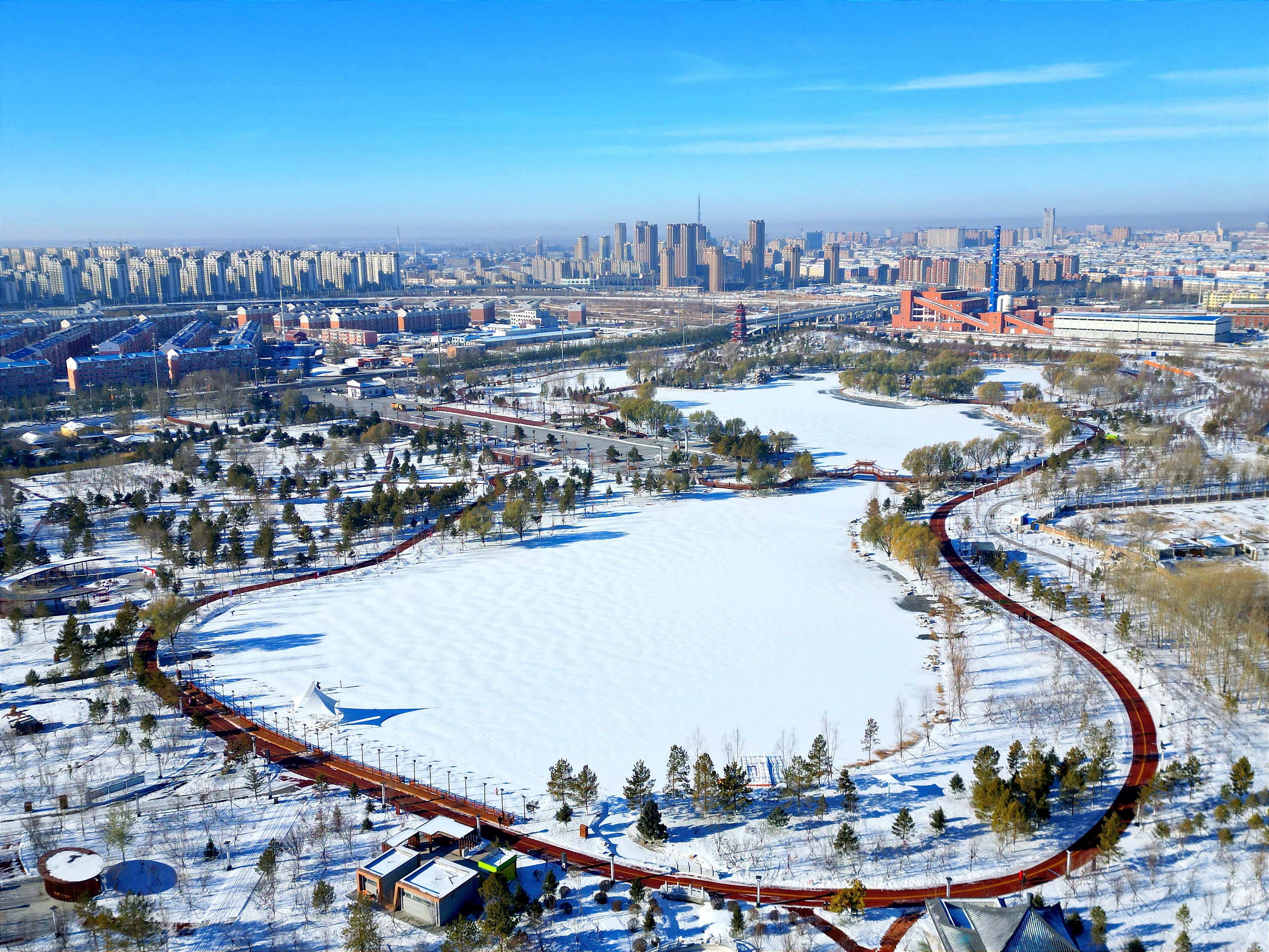 雪后初晴，白城春华园绽放出白色浪漫