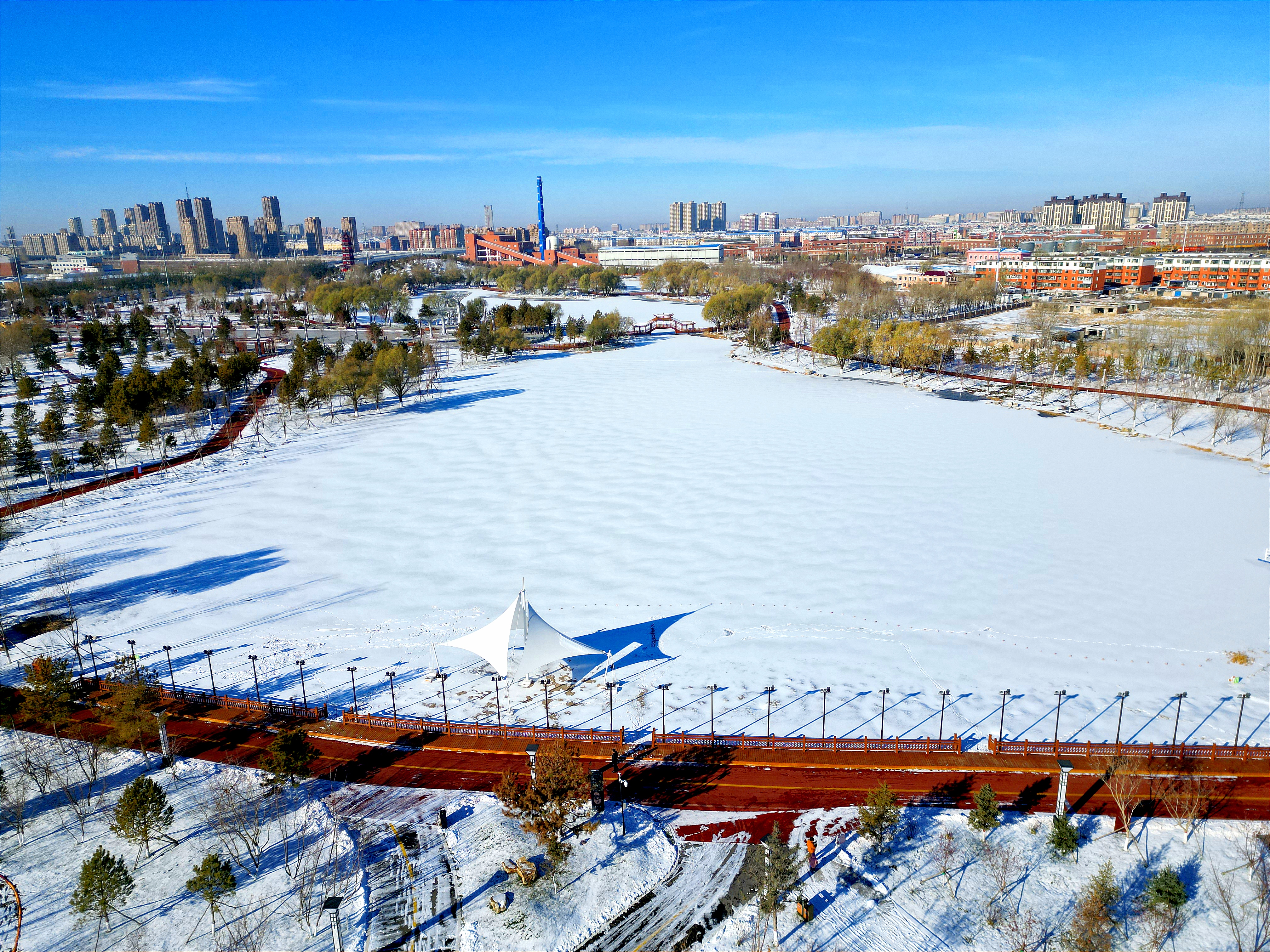 雪后初晴，白城春华园绽放出白色浪漫