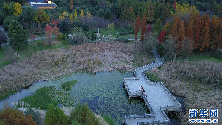 贵阳：立冬未寒景色暖