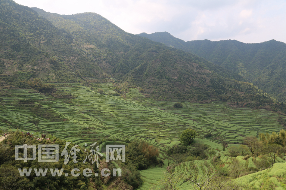 游徽派水墨宏村 访婺源篁岭晒春