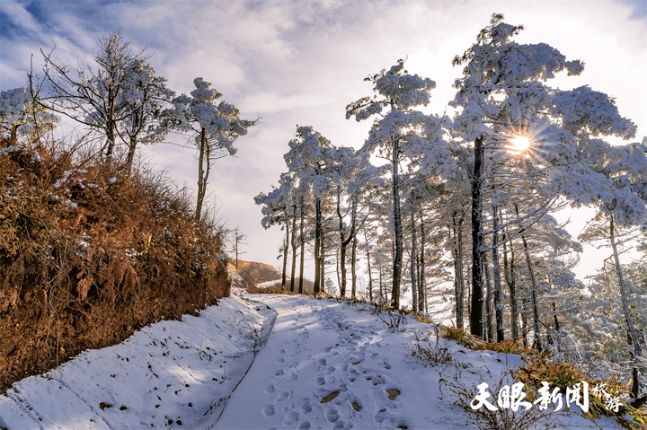 冬游凉都“趣”滑雪