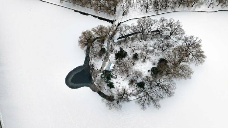 沈阳：雪后昭陵如画，冬泳健儿畅游