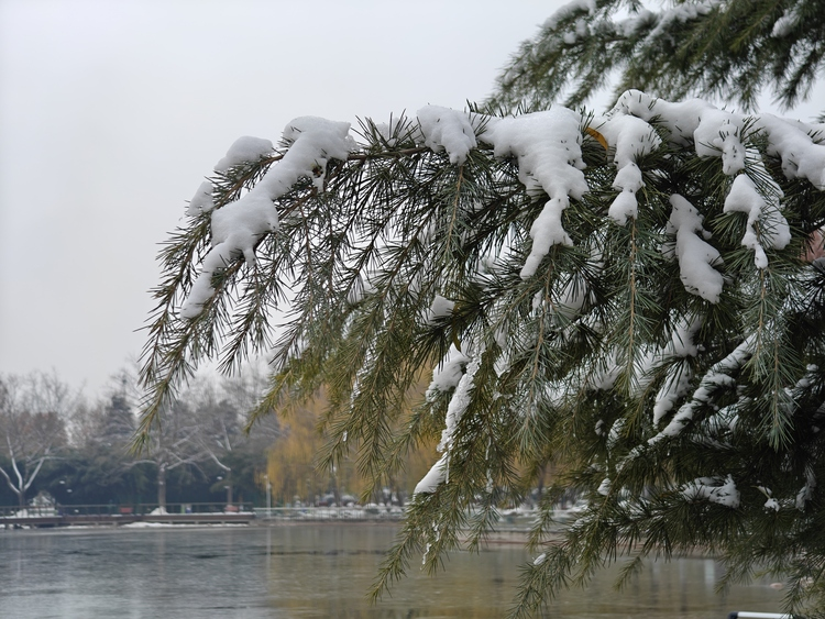 Snow-clad Donghuan Park in Shijiazhuang Emanates Winter Charm_fororder_图片21