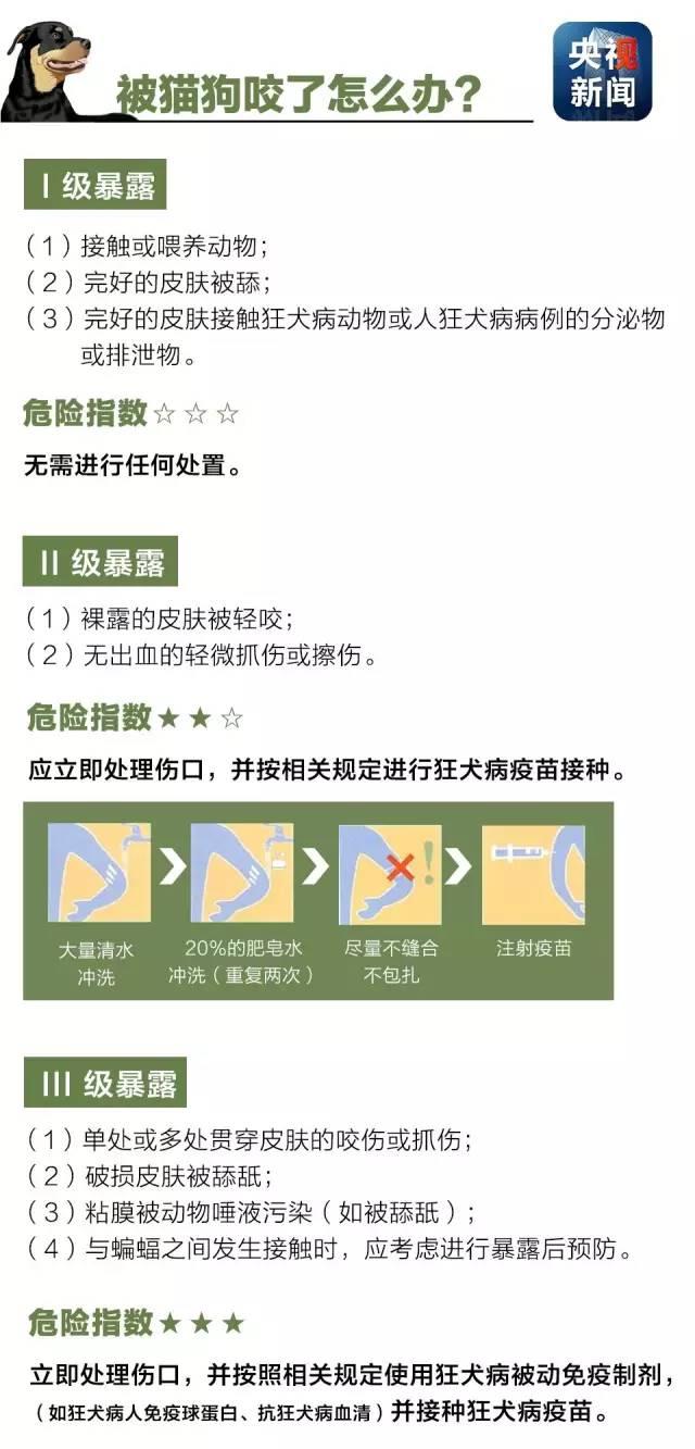 狂犬病致死率接近100%！了解这些知识让你远离它！