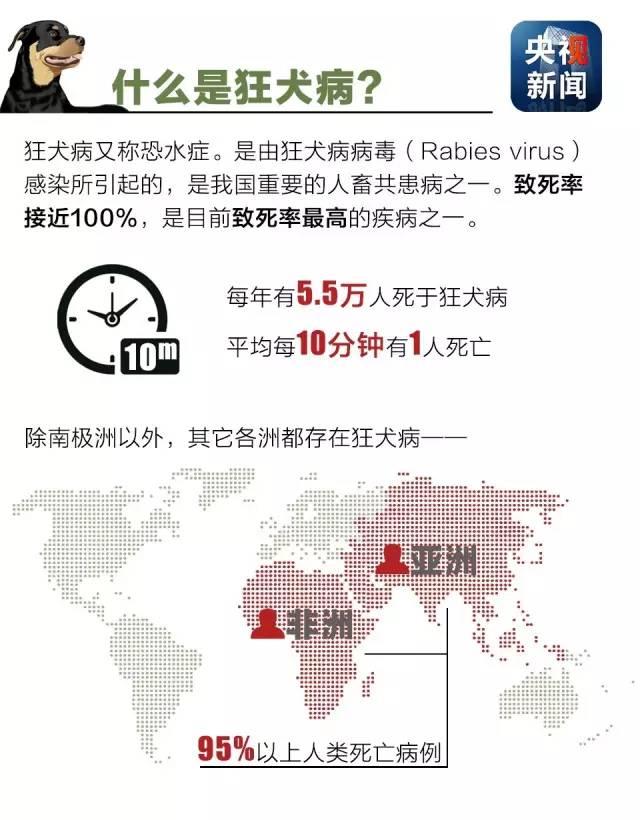 狂犬病致死率接近100%！了解这些知识让你远离它！