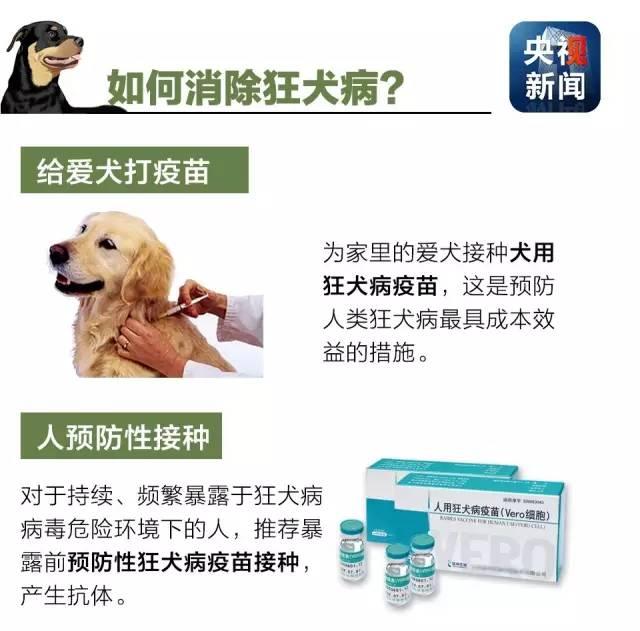 狂犬病致死率接近100%！了解这些知识让你远离它！