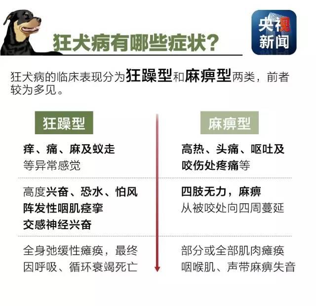 狂犬病致死率接近100%！了解这些知识让你远离它！