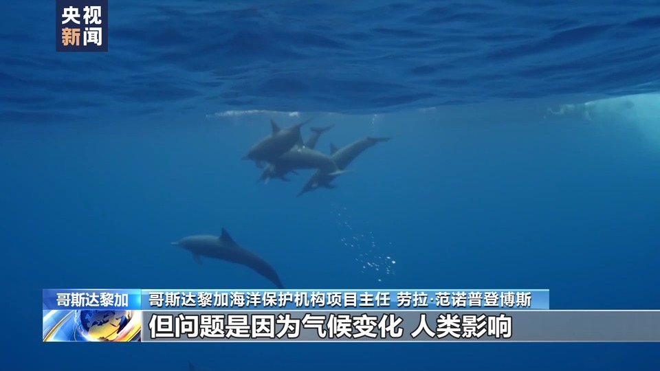 海水温度升高 珊瑚白化 哥斯达黎加生物保护区出现严重生态危机