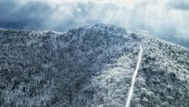 本溪：林场建景区 青山变金山