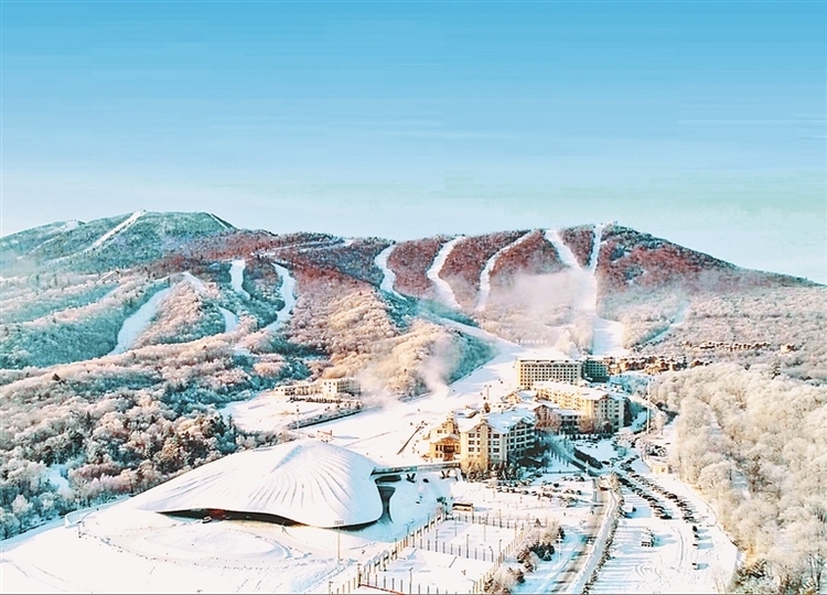 哈尔滨：书写“冰天雪地也是金山银山”冰城样本