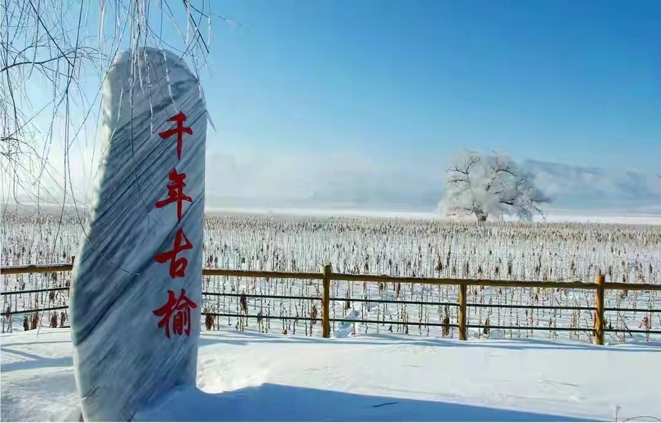 玉树冰花，限时美景！冬日的雾凇谷竟然呈现出了梦幻美景！_fororder_微信图片_20240103145633