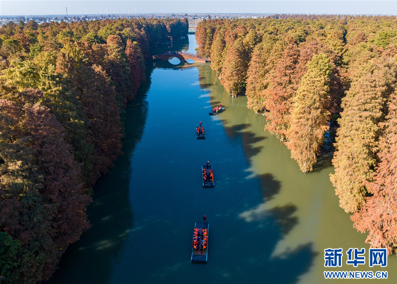 兴化里下河国家湿地公园：层林尽染 人在画中游