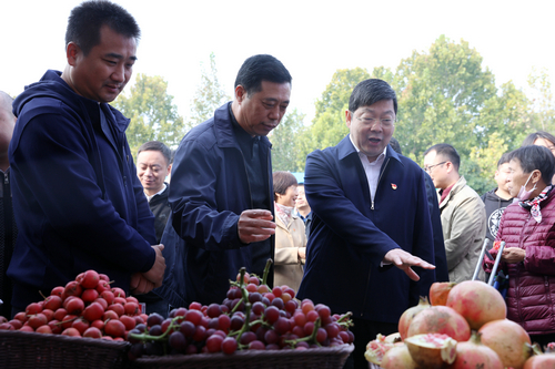 【河南供稿 昨天打回稿，约错老师了，重新上一遍】焦作市温县启动消费扶贫产品展销活动