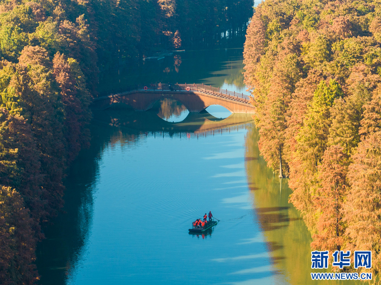 兴化里下河国家湿地公园：层林尽染 人在画中游