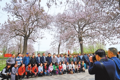 【豫见国际-图片】花开时节访焦桐