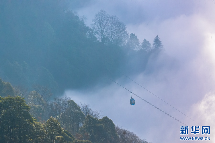 重庆南川：金佛山冬日云海