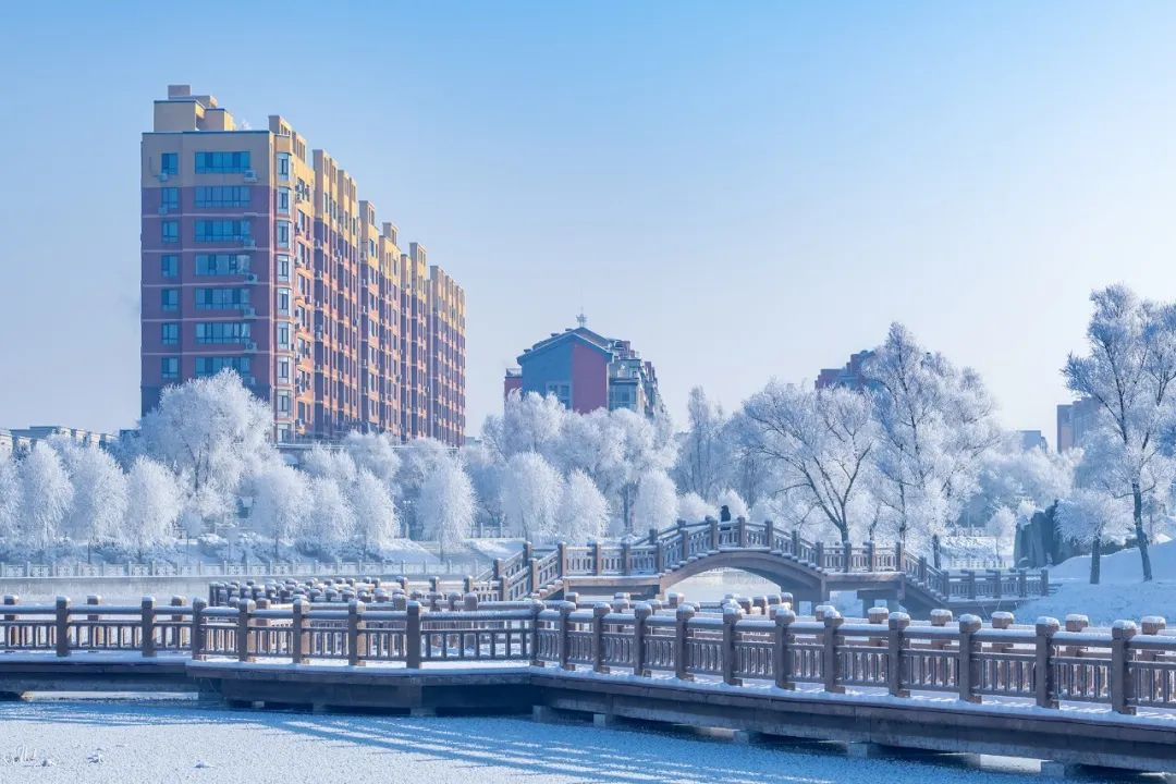 赏凇踏雪 桦甸雾凇美不胜收