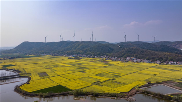 荆门市东宝区仙居乡：深化河湖治理体系 全域推行河湖长制_fororder_图片2