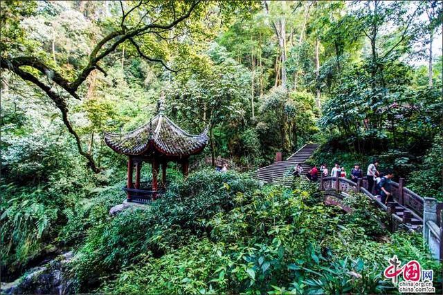 童话一样美丽的峨眉山，绿水青山就是金山银山